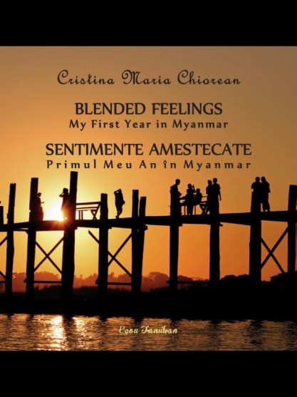 blended feelings7